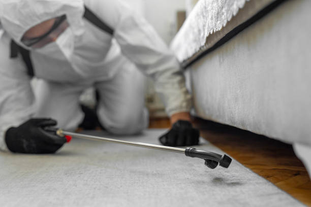 Professional Wasp Control technician working in Harbor Springs, MI