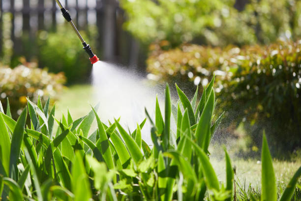 24/7 Emergency Fumigation Services experts in Harbor Springs, MI